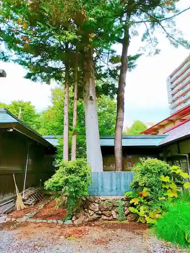 琴似神社の自然