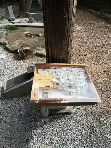 甲斐國一宮 浅間神社(山梨県)