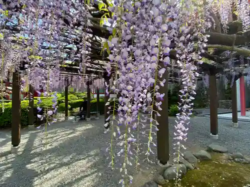 祐徳稲荷神社の庭園