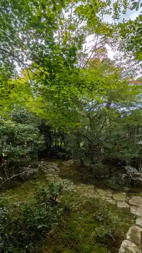 桂徳院(京都府)