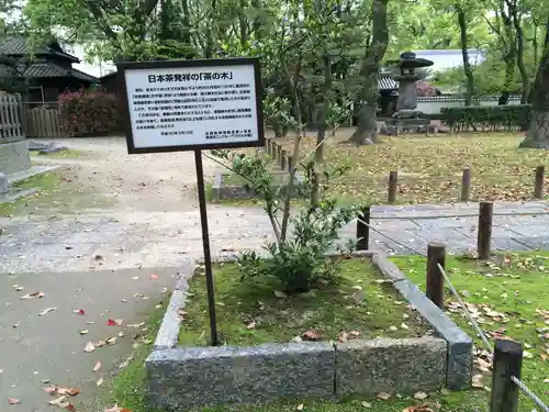 聖福寺(福岡県)