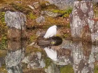 天龍寺(京都府)