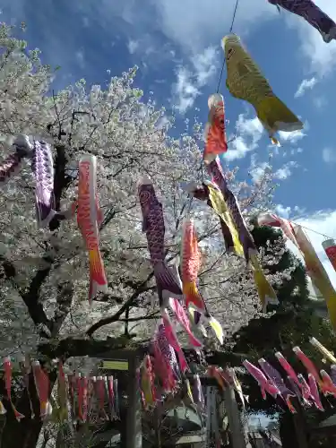 くまくま神社(導きの社 熊野町熊野神社)(東京都)