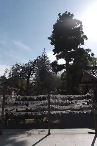 射水神社(富山県)