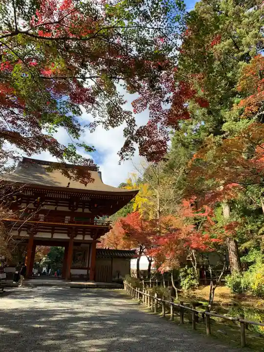 室生寺(奈良県)
