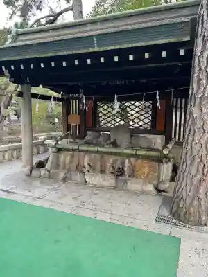住吉大社(大阪府)