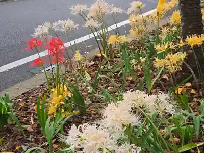 平野神社(京都府)