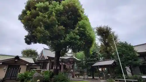 若宮神社のその他建物