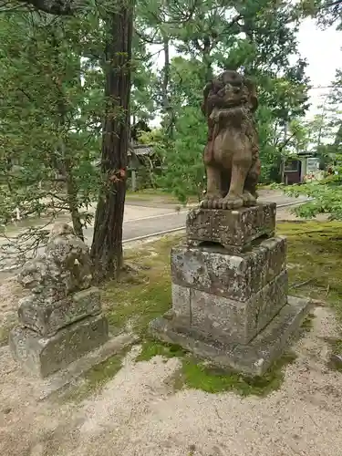 智恩寺の狛犬