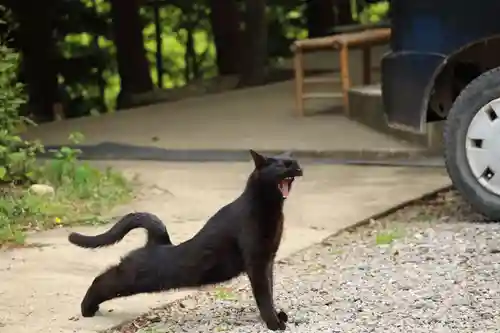 玉野御嶽神社(愛知県)