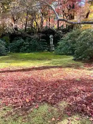 三千院門跡の{uncategorized: "未分類", other: "その他", undefined: "問題あり", building: "その他建物", grave: "お墓", sacred_gate: "鳥居", guardian: "狛犬", statue: "像", buddha: "仏像", history: "歴史", nature: "自然", garden: "庭園", animal: "動物", pagoda: "塔", temizu: "手水舎", mountain_gate: "山門・神門", sanctuary: "本殿・本堂", subordinate: "末社・摂社", art: "芸術", scenery: "景色", jizo: "地蔵", ema: "絵馬", goshuin: "御朱印", omikuji: "おみくじ", items: "授与品その他", amulet: "お守り", goshuincho: "御朱印帳", eats: "食事", festival: "お祭り", votive_dance: "神楽", shichigosan: "七五三参", wedding: "結婚式", experience: "体験その他", initially: "初詣", around: "周辺", anti_infection: "感染症対策"}