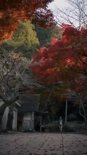清滝寺徳源院(滋賀県)