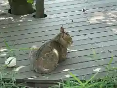 伊勢の国 四天王寺の動物