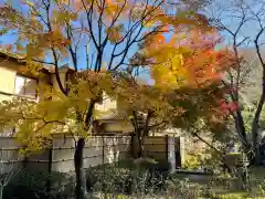 長壽寺（長寿寺）の庭園