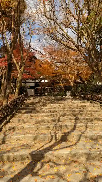 龍安寺(京都府)