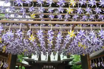 川越氷川神社(埼玉県)