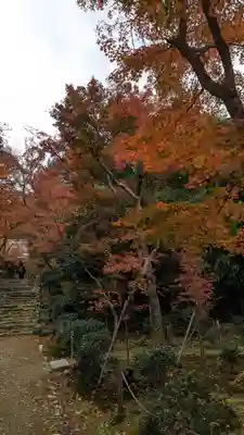 浄住寺(京都府)