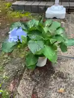 大宮温泉神社(栃木県)