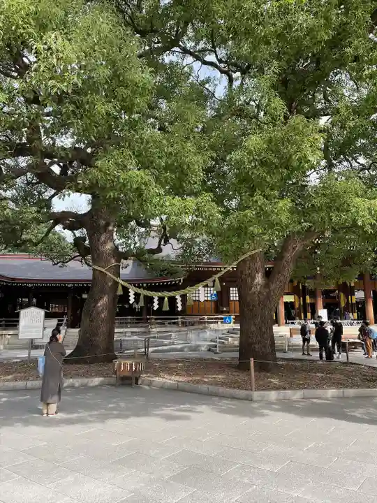 明治神宮(東京都)