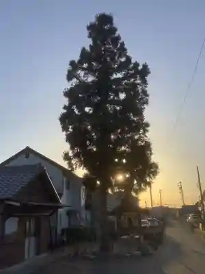 秋葉神社の自然