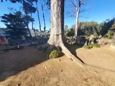 細井神社(群馬県)