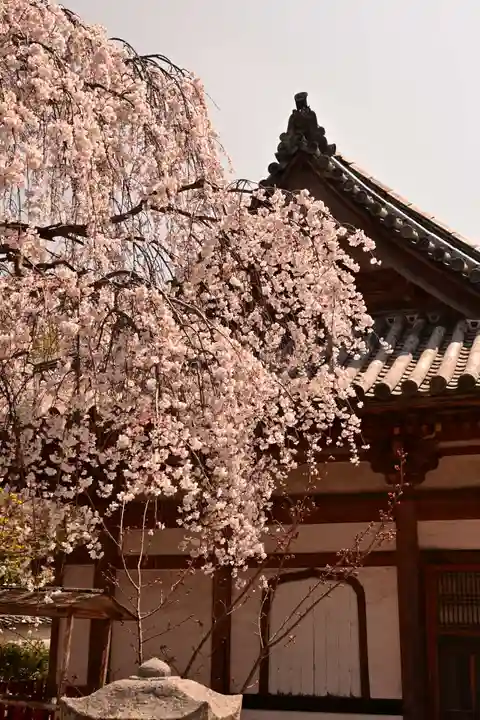祥雲寺(愛媛県)