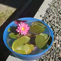 三澤寺(長野県)