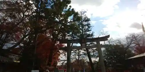 出雲大神宮の鳥居