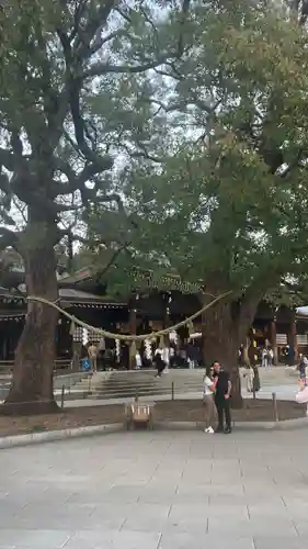 明治神宮(東京都)