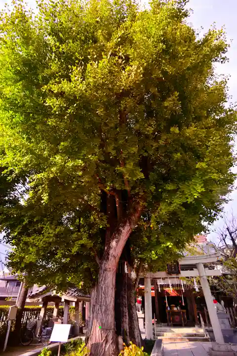 飛木稲荷神社(東京都)