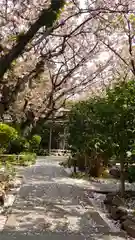 雨宝院の建物その他