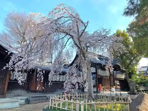 縣神社の庭園