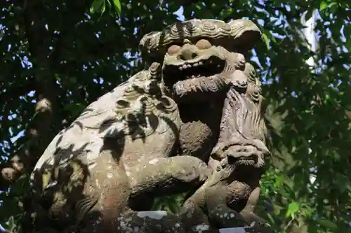 豊景神社の狛犬