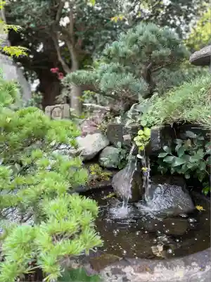 長谷寺(神奈川県)