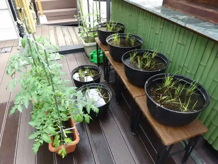 菊名神社のその他建物