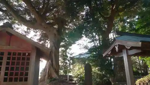 鹿島神社の建物その他