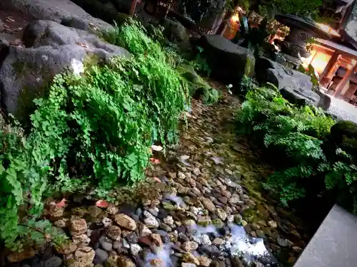 川越氷川神社(埼玉県)