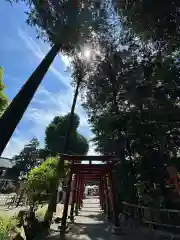 亀八招福稲荷神社(神奈川県)