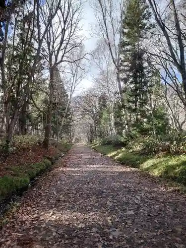 戸隠神社奥社(長野県)