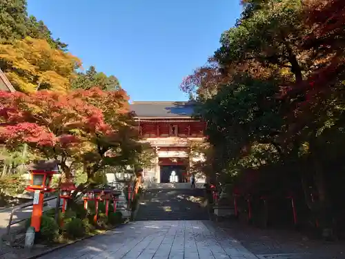 鞍馬寺(京都府)