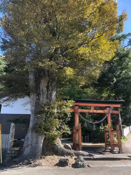 紀部神宮(大阪府)