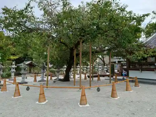 伊和志津神社の自然