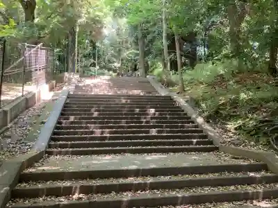 渋谷氷川神社の{uncategorized: "未分類", other: "その他", undefined: "問題あり", building: "その他建物", grave: "お墓", sacred_gate: "鳥居", guardian: "狛犬", statue: "像", buddha: "仏像", history: "歴史", nature: "自然", garden: "庭園", animal: "動物", pagoda: "塔", temizu: "手水舎", mountain_gate: "山門・神門", sanctuary: "本殿・本堂", subordinate: "末社・摂社", art: "芸術", scenery: "景色", jizo: "地蔵", ema: "絵馬", goshuin: "御朱印", omikuji: "おみくじ", items: "授与品その他", amulet: "お守り", goshuincho: "御朱印帳", eats: "食事", festival: "お祭り", votive_dance: "神楽", shichigosan: "七五三参", wedding: "結婚式", experience: "体験その他", initially: "初詣", around: "周辺", anti_infection: "感染症対策"}