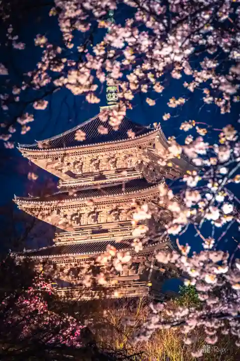 東寺(教王護国寺)(京都府)