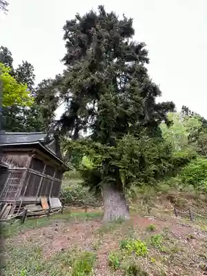 西明寺(山形県)