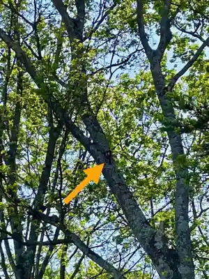 砂川神社(北海道)