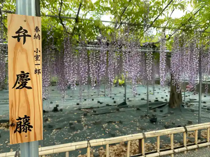 白旗神社(神奈川県)