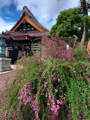 如宝寺(福島県)