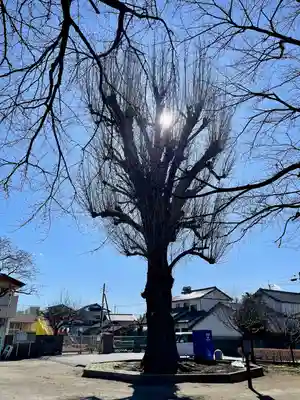 壬生寺(栃木県)