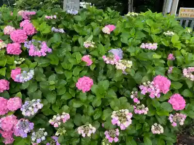 酒見神社(愛知県)